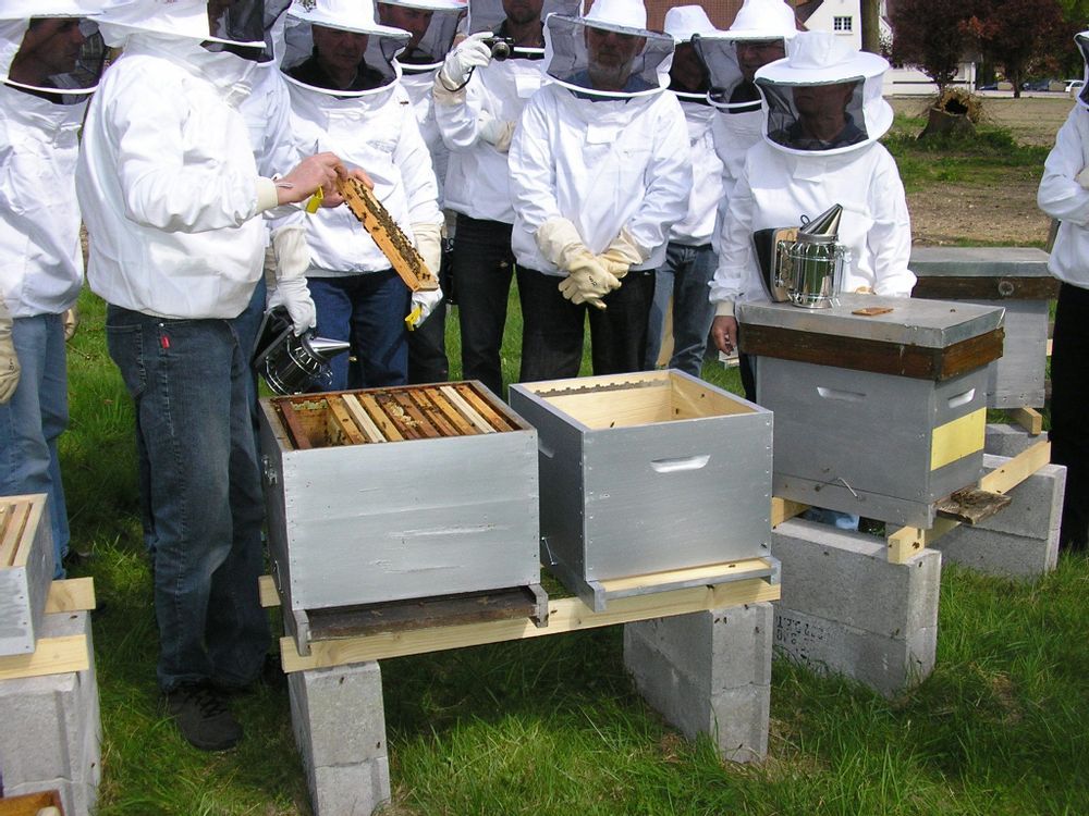 Présentation du Syndicat apicole Artésien